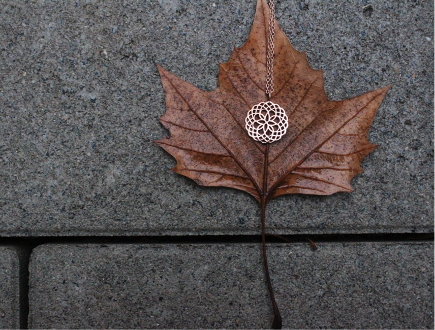 Bronze Necklace on a brown leaf 