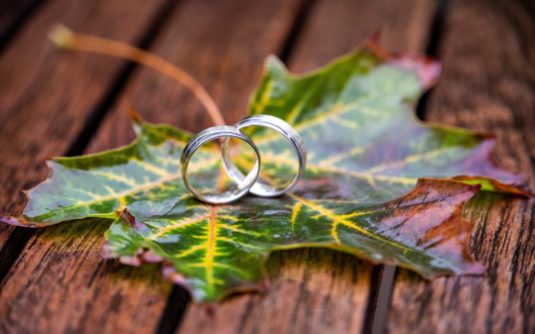 2 rings on a leaf in fall